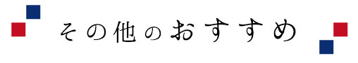 その他のおすすめ